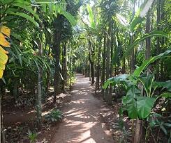 Plantations