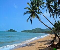 Beaches
